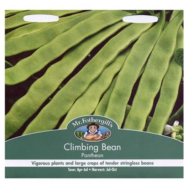 Mr Fothergill's Climbing French Bean Pantheon Seeds