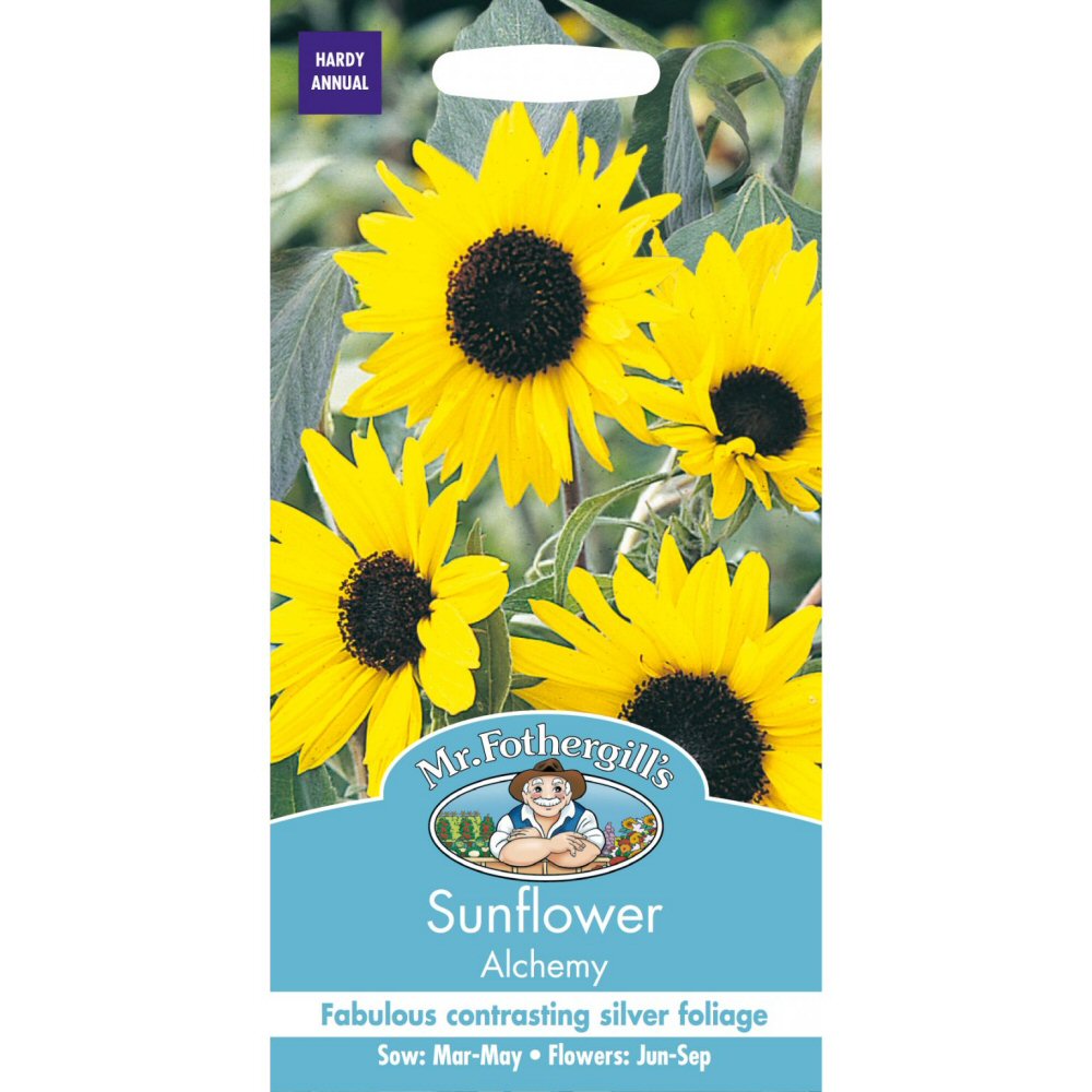Mr Fothergill's Sunflower 'Alchemy' Seeds