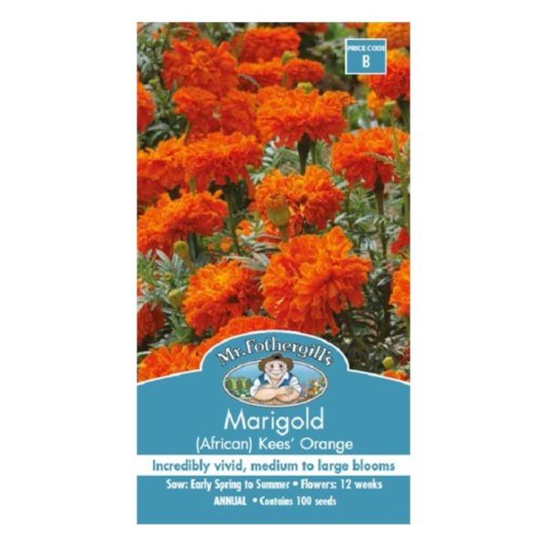 Mr Fothergill's Marigold (African) Kees' Orange Seed