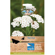 Mr Fothergill's RSPB Yarrow Seeds