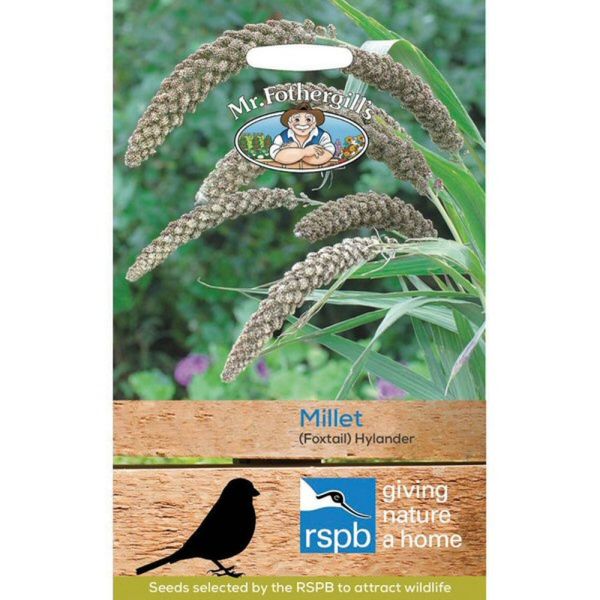 Mr Fothergill's RSPB Foxtail Hylander Millet Seeds