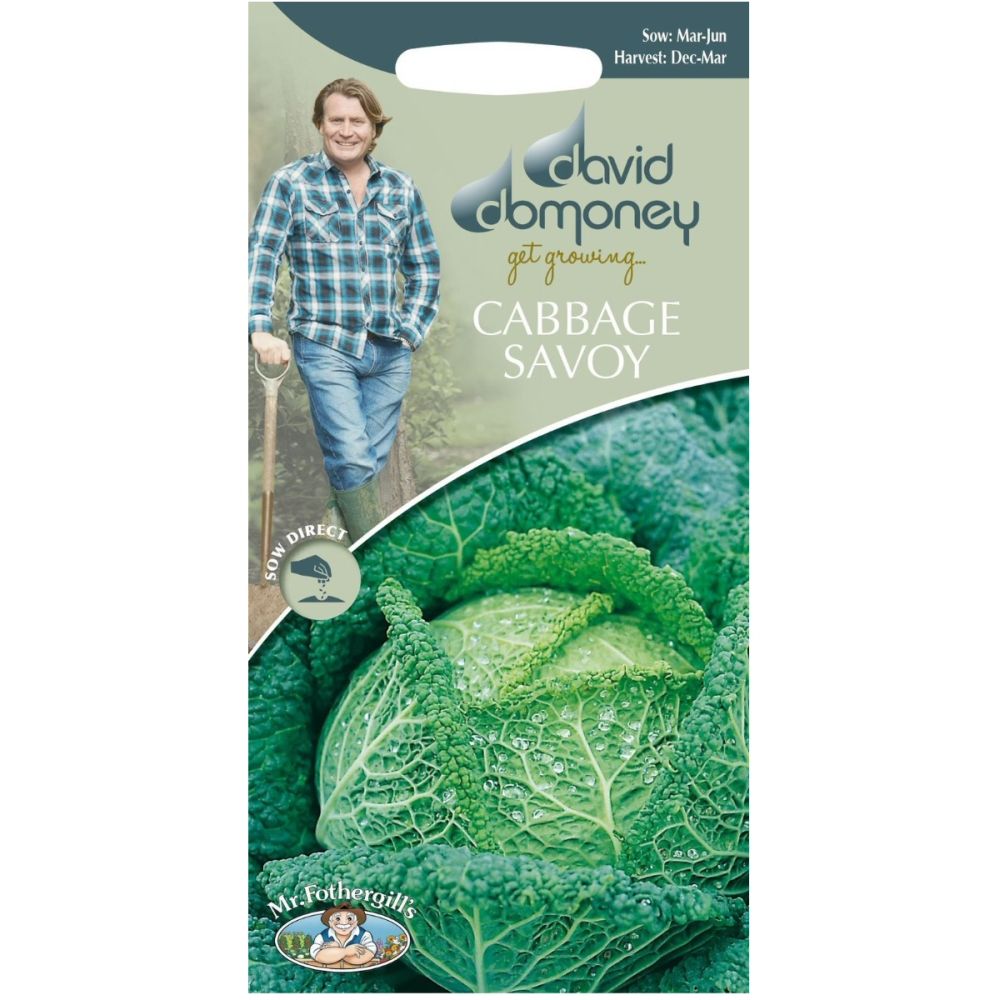 David Domoney Cabbage Savoy 'Ormskirk' Seeds