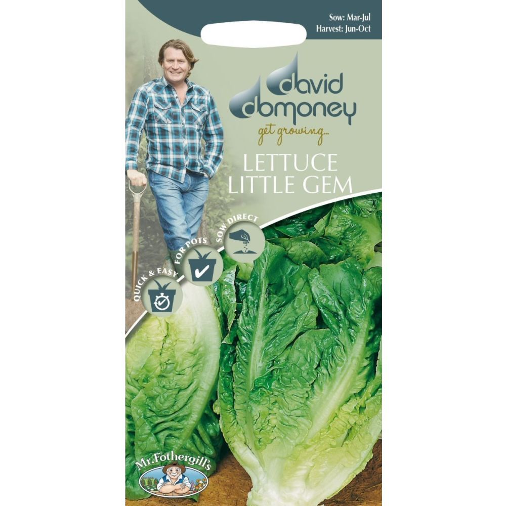 David Domoney Lettuce Little Gem 'Delight' Seeds