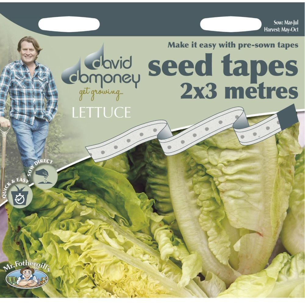 David Domoney Lettuce Cos 'Little Gem' Seed Tape