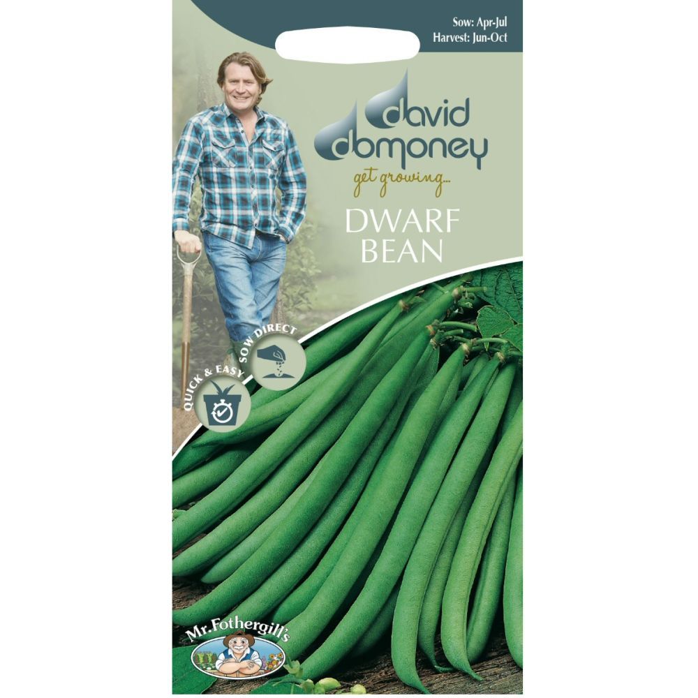 David Domoney Dwarf Bean 'Ferrari' Seeds