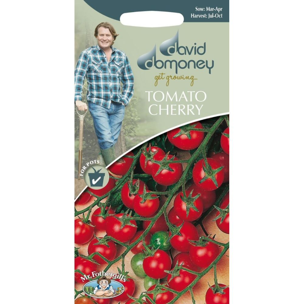 David Domoney Cherry Tomato 'Gardeners Delight' Seeds
