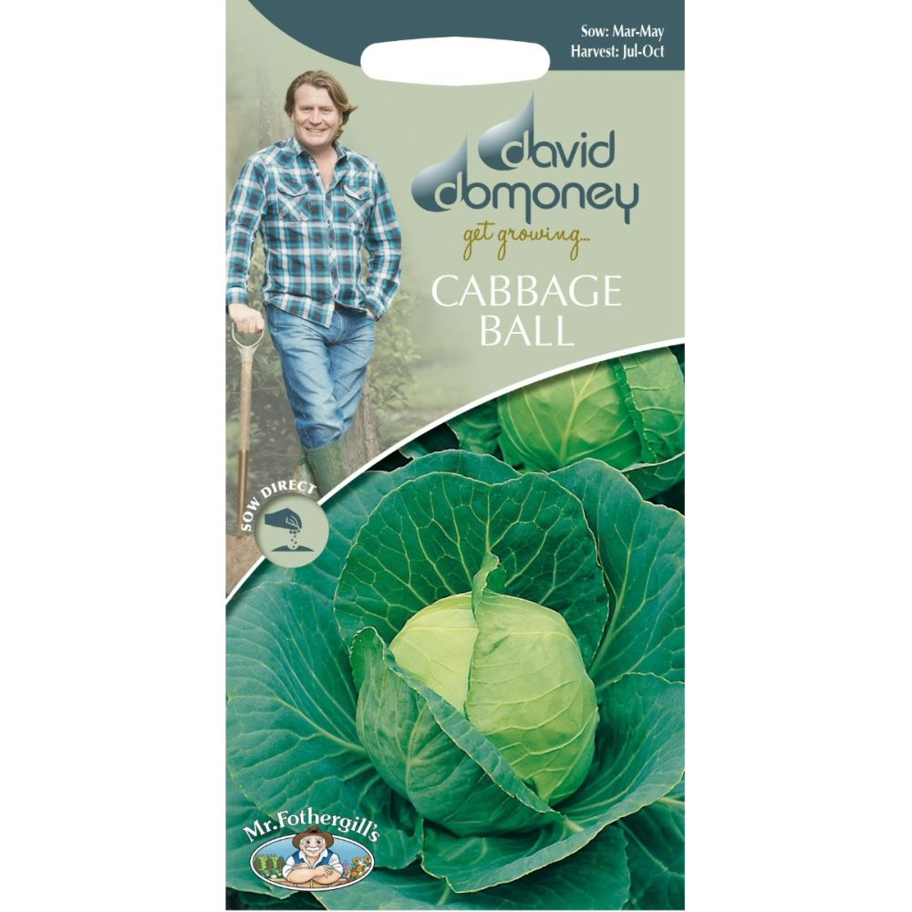 David Domoney Cabbage Ball 'Golden Acre / Primo II' Seeds