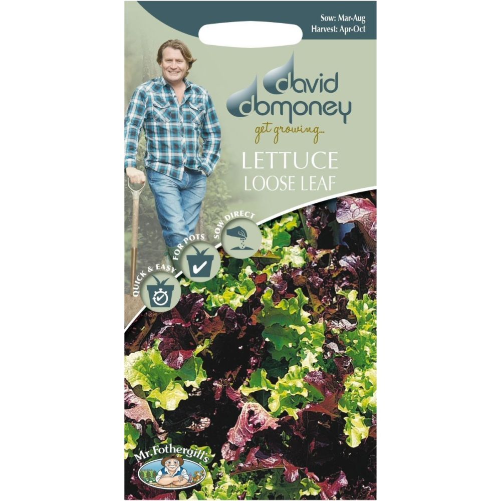David Domoney Lettuce Loose Leaf 'Lollo Mixed' Seeds