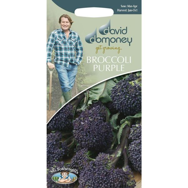 David Domoney Broccoli (Sprouting) 'Summer Purple' Seeds