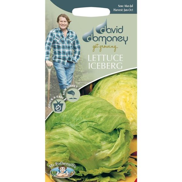 David Domoney Lettuce Iceberg 'Balmoral ' Seeds