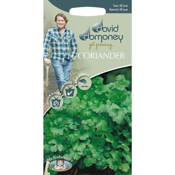 David Domoney Coriander 'Cilantro' Seeds