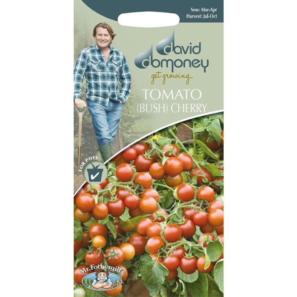 David Domoney Cherry Tomato Tumbling 'Cherry Falls' Seeds