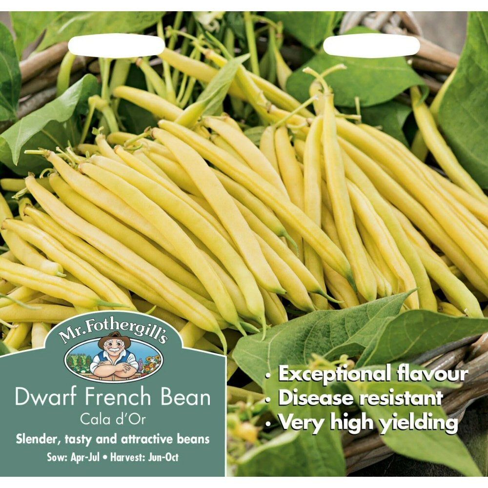 Mr Fothergill's Dwarf French Bean Cala d'Or Seeds