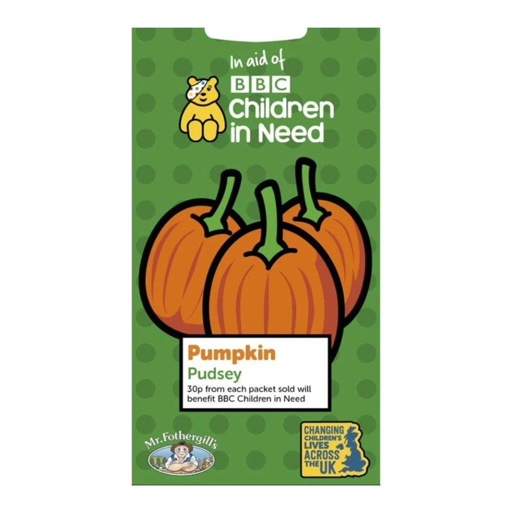 Mr Fothergill's Children In Need Pudsey Pumpkin Seeds
