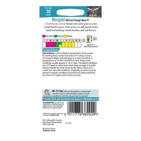 Mr Fothergill's Marigold (African) Orange Beast F1 Seeds