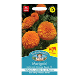 Mr Fothergill's Marigold (African) Orange Beast F1 Seeds