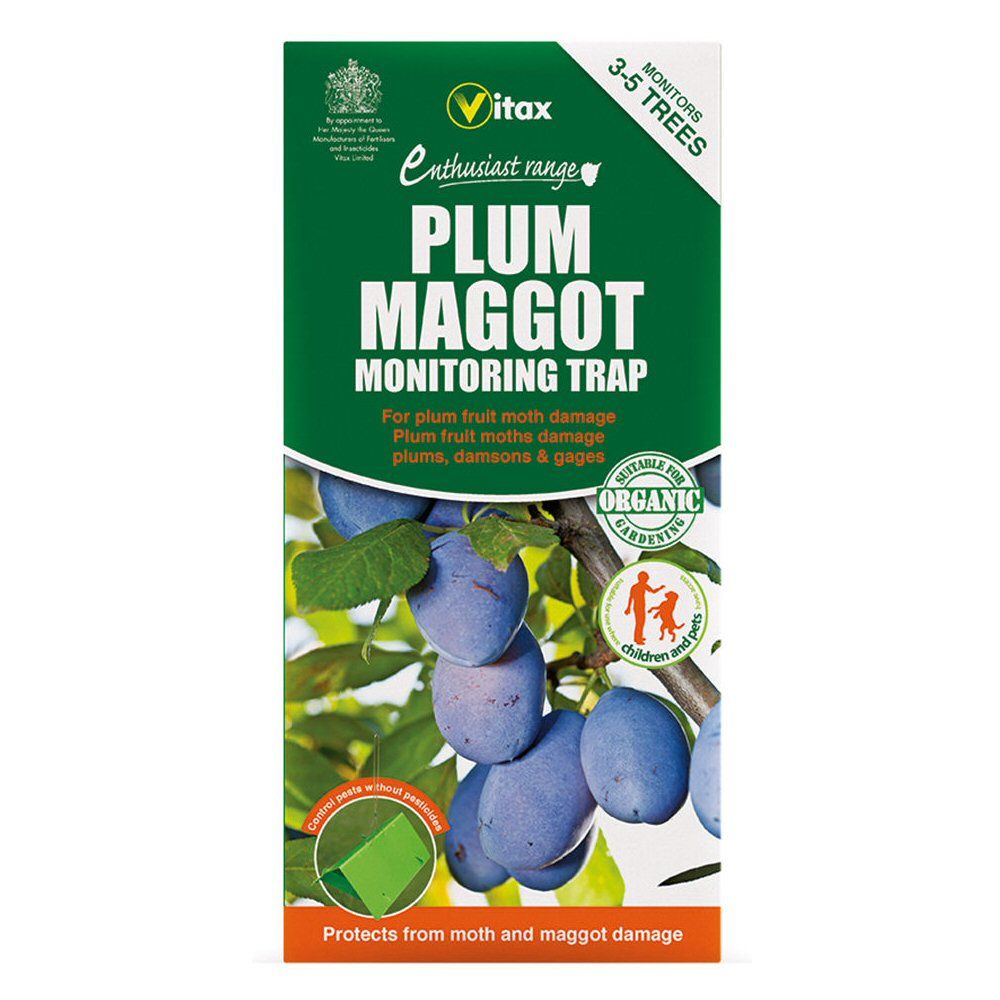 Vitax Plum Maggot Monitoring Trap