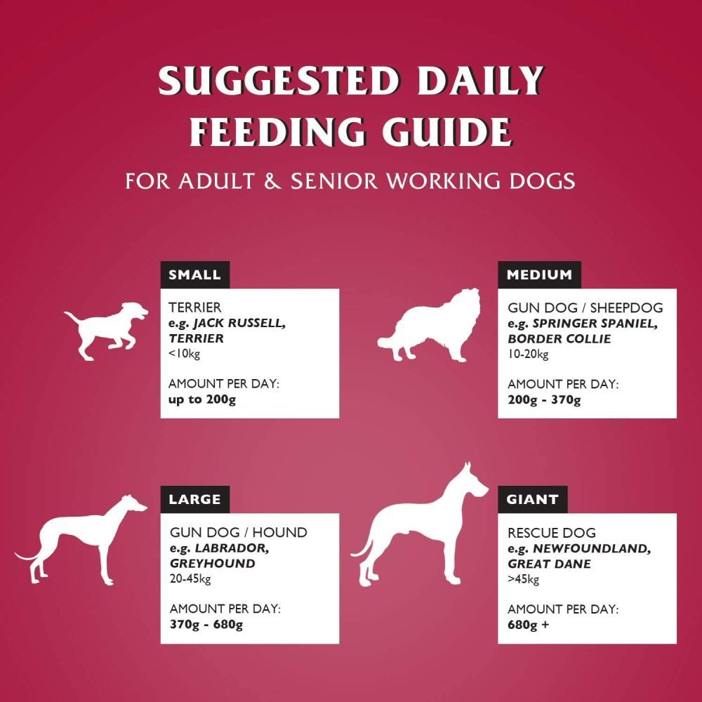 Dr John 15kg Silver With Beef Adult Dog Food