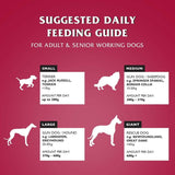 Dr John 15kg Silver With Beef Adult Dog Food