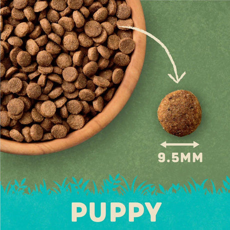 Harringtons 1.7kg Turkey & Rice Dry Puppy Food