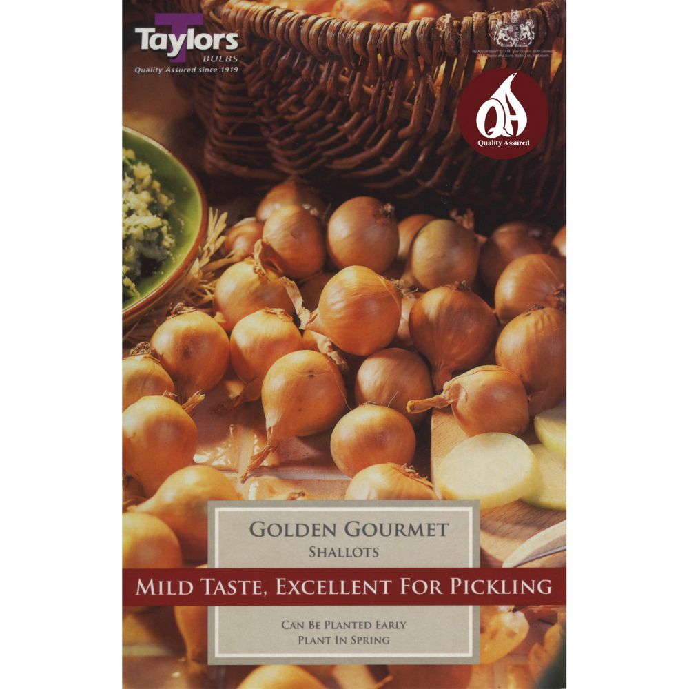 Taylors 12 Shallot Golden Gourmet Sets