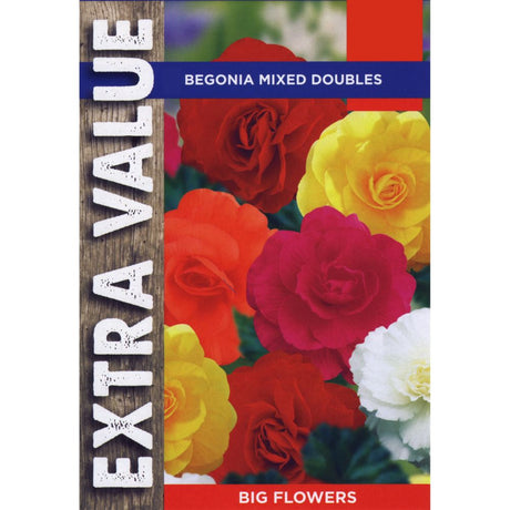 Taylors 5 Begonia Mixed Double Tubers