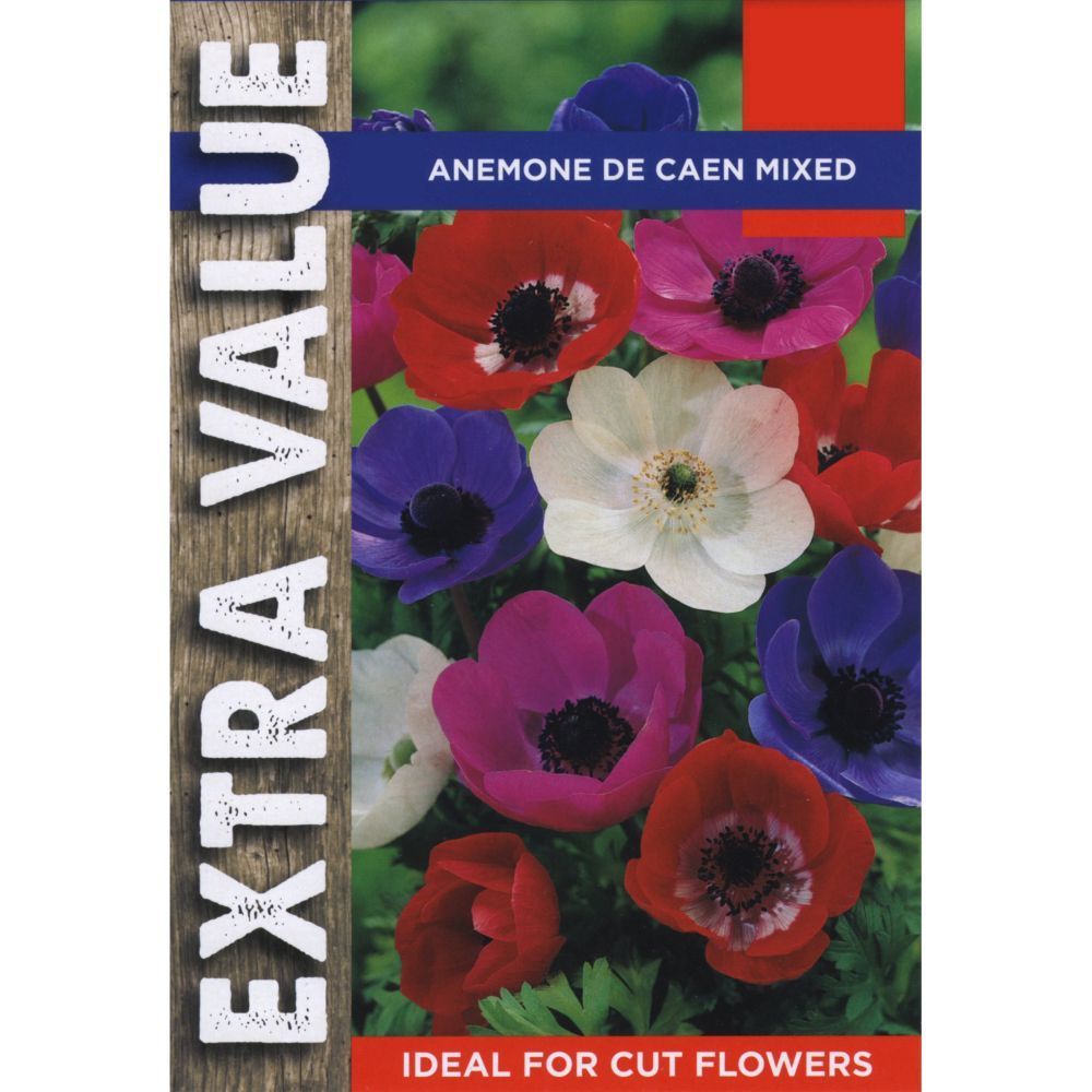 Taylors 40 Anemone De Caen Mixed Bulbs