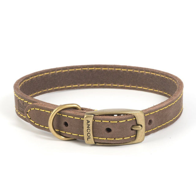Ancol Timberwolf Leather Dog Collar