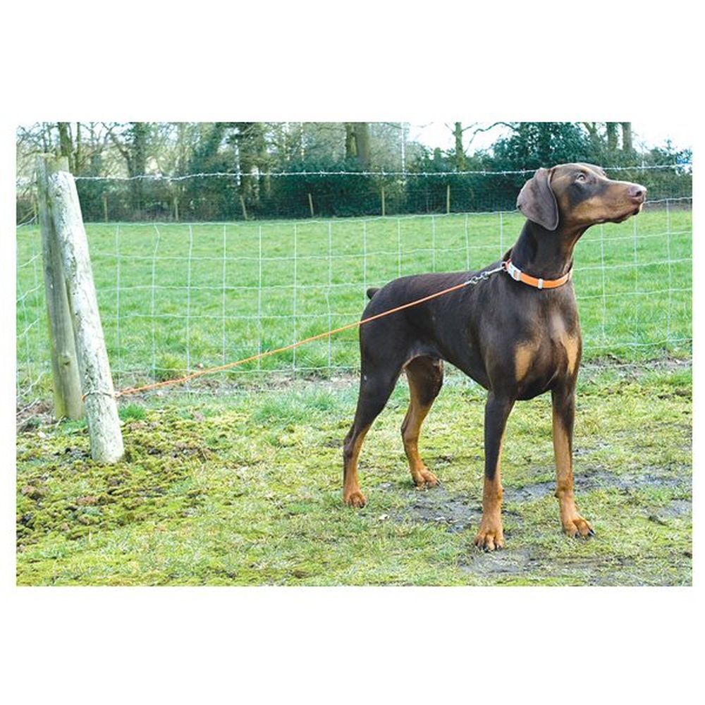 Ancol 4.5m Large Tie-Out Dog Cable