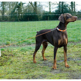 Ancol 4.5m Large Tie-Out Dog Cable