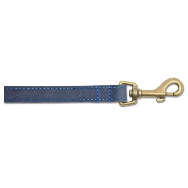 Ancol 60cm x 19mm Blue Timberwolf Leather Dog Lead