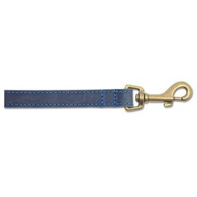 Ancol 60cm x 19mm Blue Timberwolf Leather Dog Lead