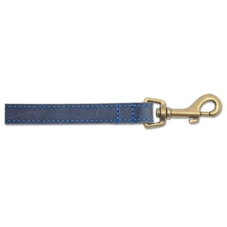 Ancol 60cm x 19mm Blue Timberwolf Leather Dog Lead