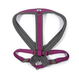 Ancol Viva X-Large Purple Padded Dog Harness