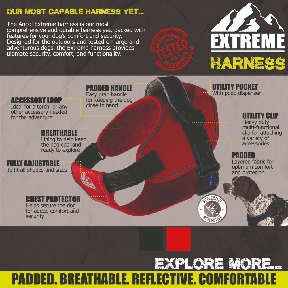 Ancol Extreme Large Red Harness