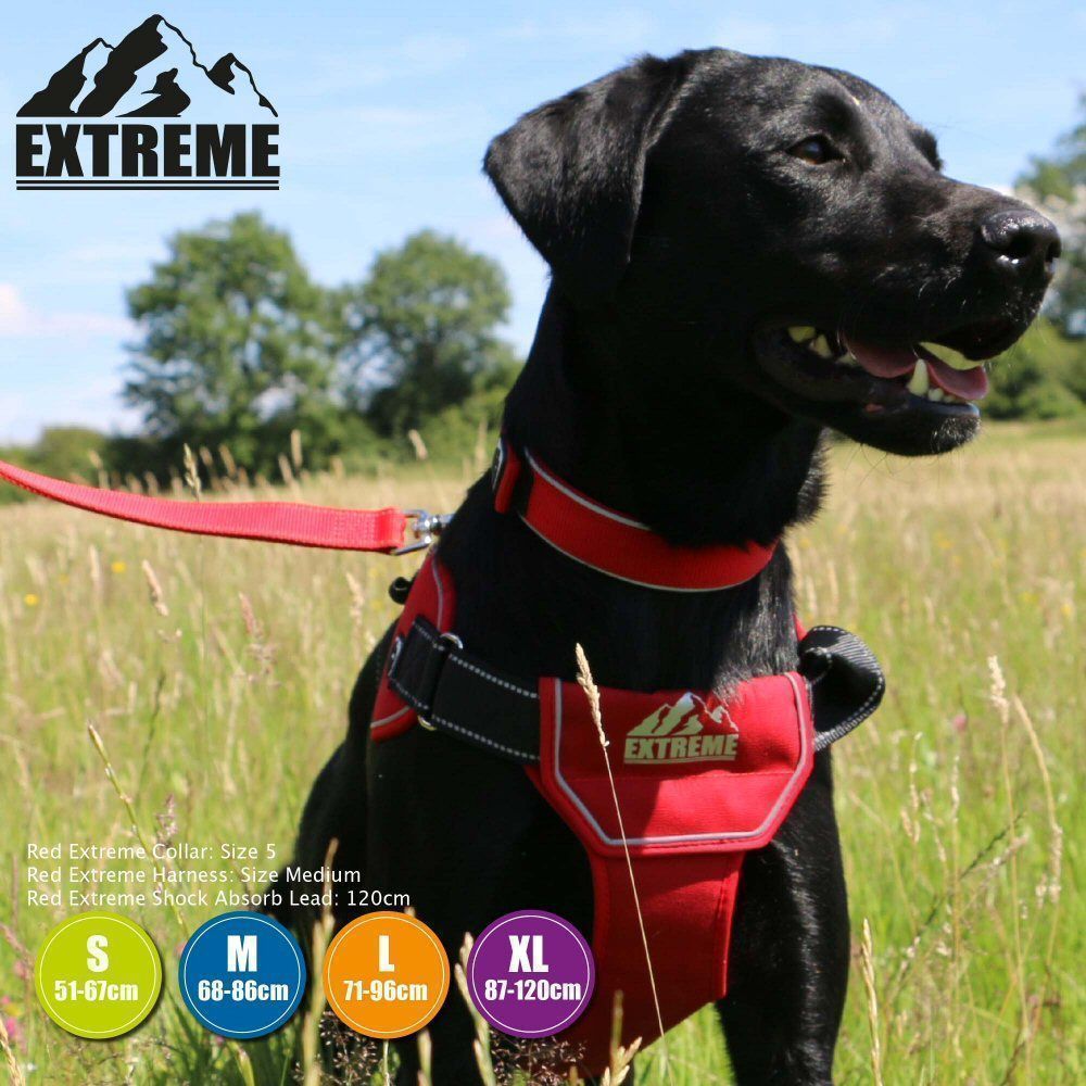 Ancol Extreme Medium Red Harness