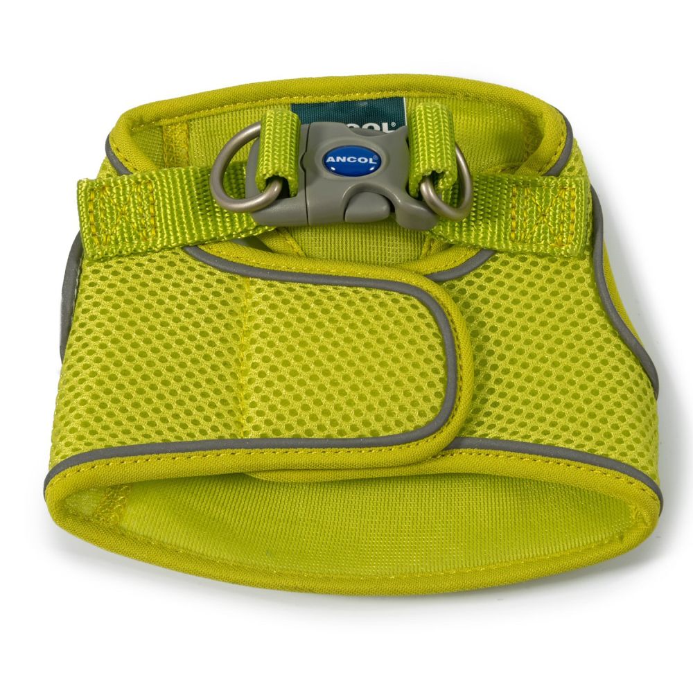 Ancol Viva Small (35-42cm) Lime Green Step-In Harness