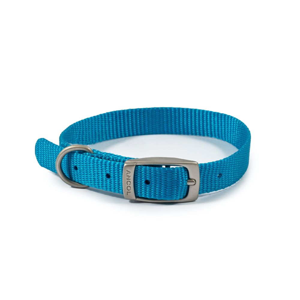 Ancol Viva 26-31cm (Size 2) Blue Poly-Weave Dog Collar