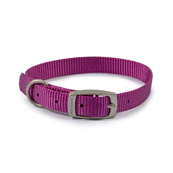 Ancol Viva 28-36cm (Size 3) Purple Poly-Weave Dog Collar