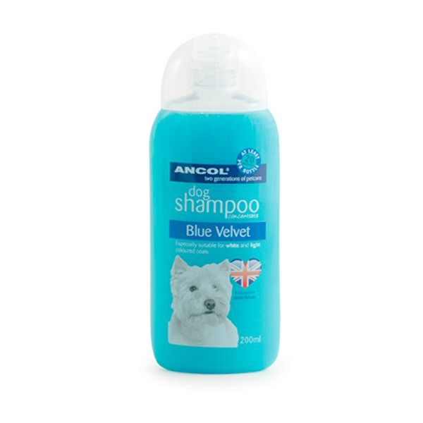 Ancol 200ml Blue Velvet White Dog Shampoo