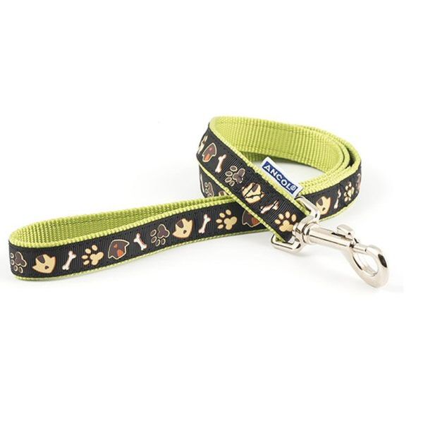 Ancol 1m x 19mm Colourful Dog and Kennel Lead