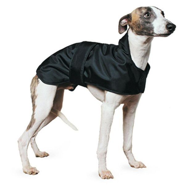 Ancol 53cm Black Whippet Dog Coat