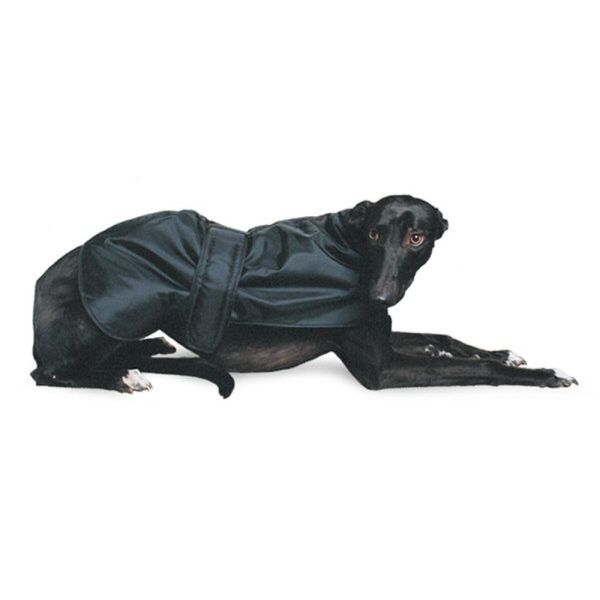 Ancol 70cm Black Greyhound Coat