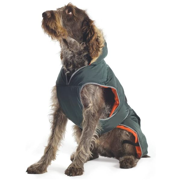 Ancol Muddy Paws Green Parka Dog Coat