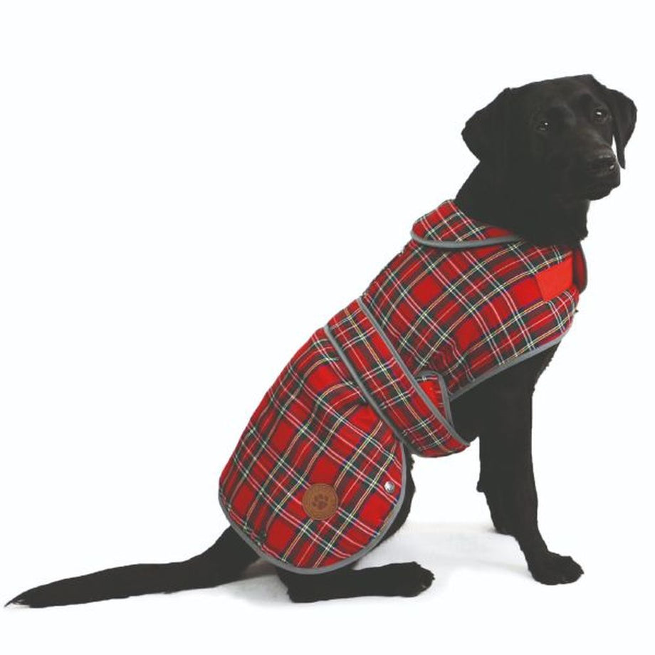 Red best sale dog clothing