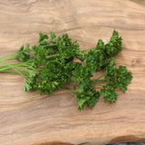 Parsley 'Curled' Herb Plant 9cm Pot
