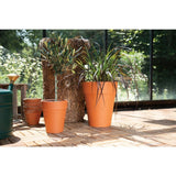 Woodlodge 18cm Terracotta Long Tom Pot