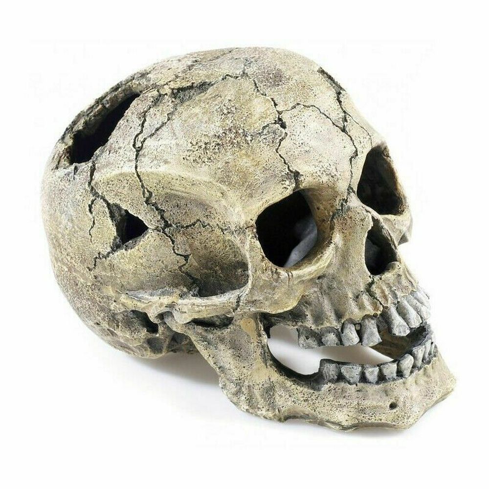 Classic Cracked Skull Aquarium Decoration