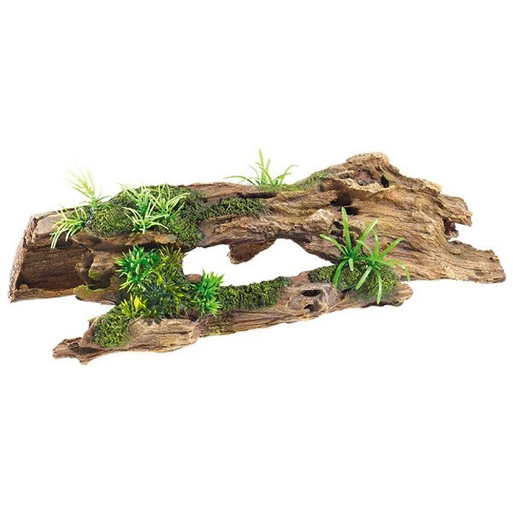 J&K Aquatics Classic Driftwood with Plants