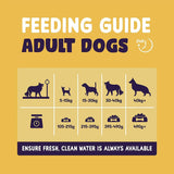 Burgess 12.5kg Sensitive Complete Turkey & Rice Adult Dog Food